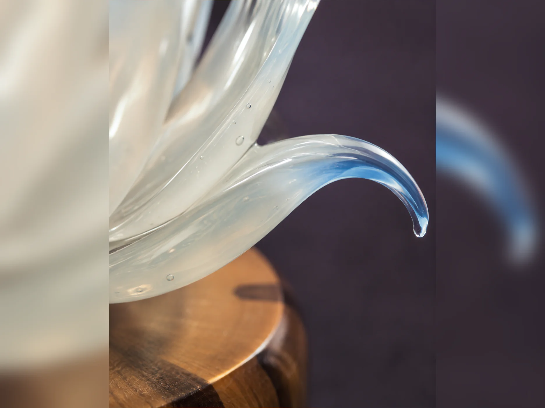 Close view of lampworked borosilicate glass lotus petals showing clear edges, layered color, and translucent structure