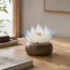 Lunar Lotus Daytime Interior Glass Lotus Light Lunar Lotus frosted glass lotus light on a warm walnut wood base in a calm daytime interior