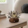 Noir Lotus Daytime Interior Glass Lotus Light Noir Lotus smoky glass lotus light on a warm walnut wood base in a quiet daytime interior