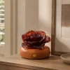 Vermilion Rose red glass rose light on a warm wood display base in a calm daytime interior