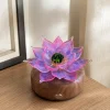 Rosefire Lotus rose-toned glass lotus light on a warm walnut wood base in a calm daytime interior